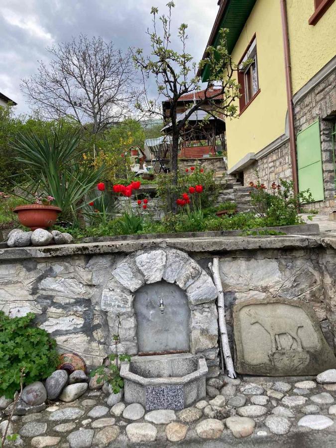 Vila Venera Velingrad Exterior foto