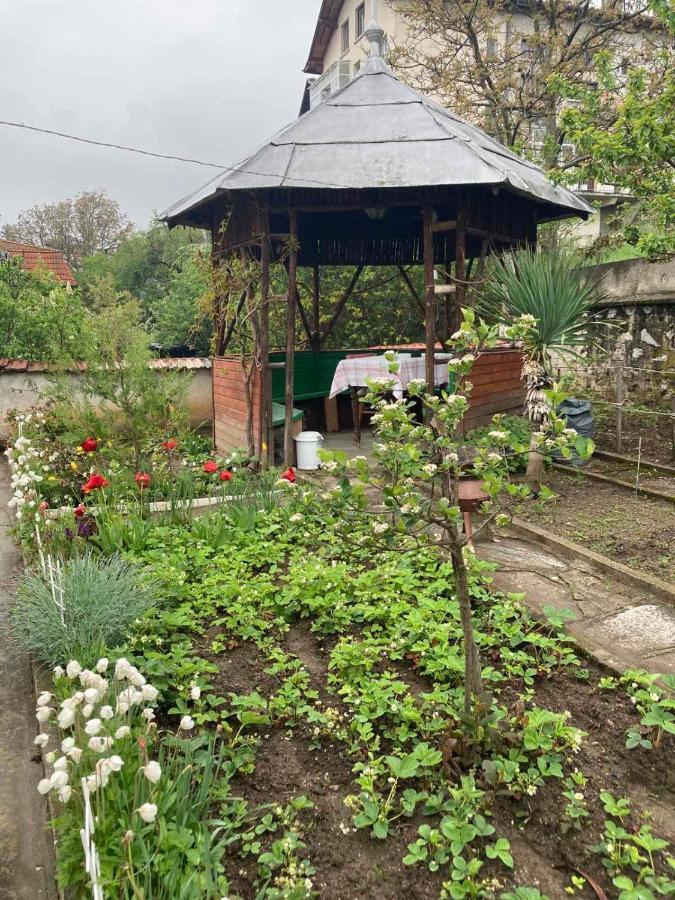 Vila Venera Velingrad Exterior foto